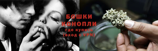 прущие грибы Карпинск