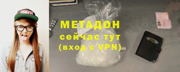 прущие грибы Карпинск