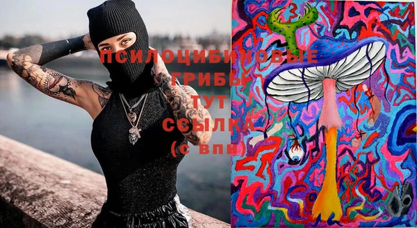 прущие грибы Карпинск