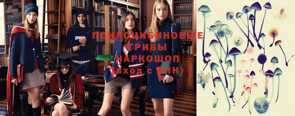 прущие грибы Карпинск