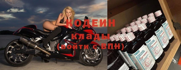 прущие грибы Карпинск