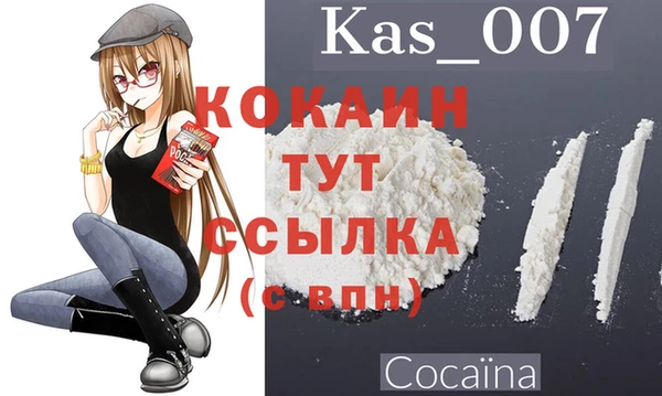 прущие грибы Карпинск