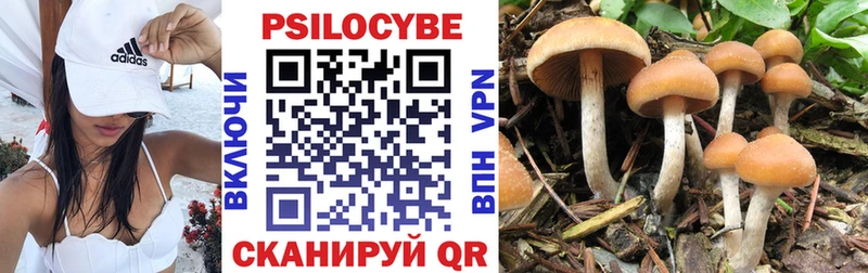 Псилоцибиновые грибы мицелий  Купить  Иноземцево 